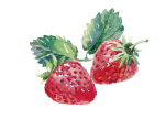 Limón